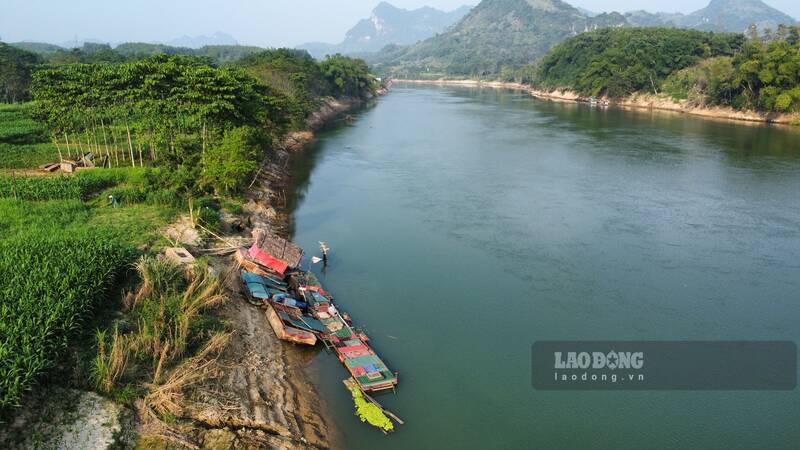 Nhieu gia dinh nuoi ca long doc song Lo trang tay. Anh: Lam Thanh