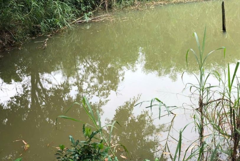 The place where the dead boy was found. Photo: B. Nguyen