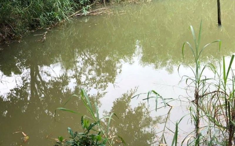 The place where the dead boy was found. Photo: B. Nguyen