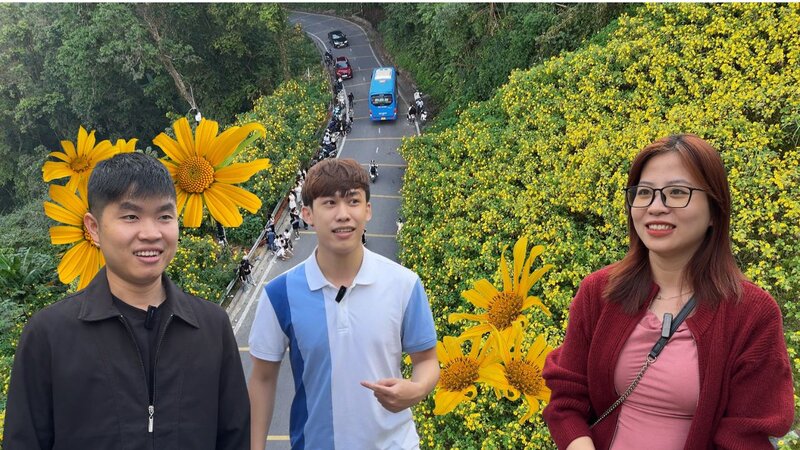 Traveled hundreds of kilometers to take souvenir photos with wild sunflowers. Photo: Hoang Loc