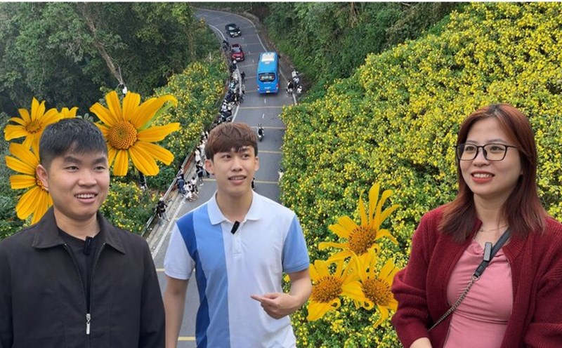 Traveled hundreds of kilometers to take souvenir photos with wild sunflowers. Photo: Hoang Loc