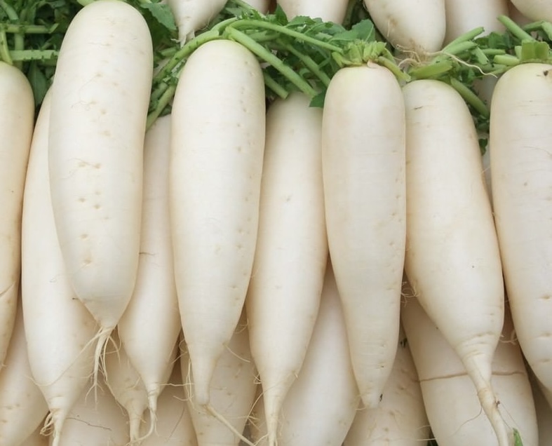 You can reduce belly fat by adding white radish to your diet. Photo: Kieu Vu