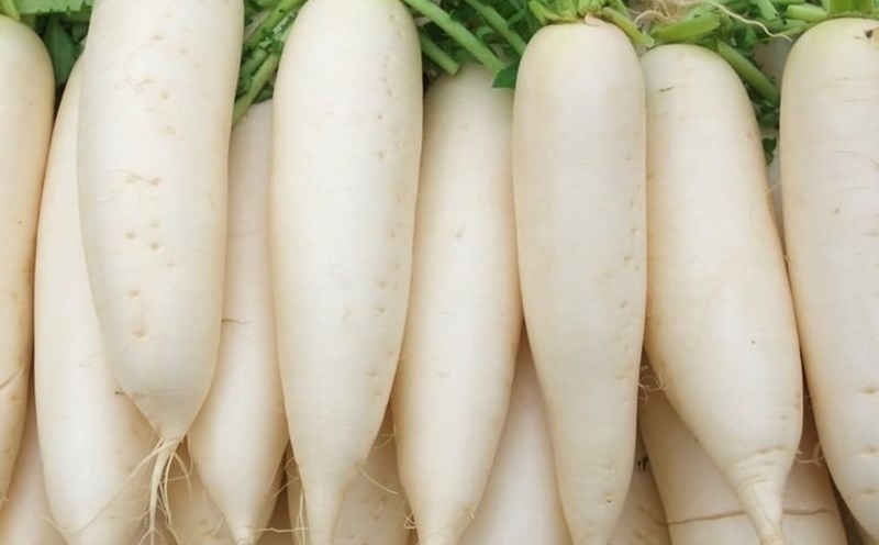 You can reduce belly fat by adding white radish to your diet. Photo: Kieu Vu