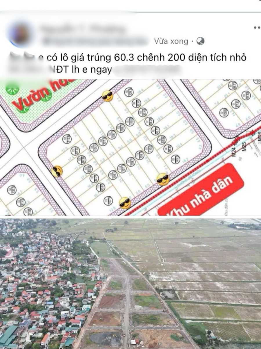 Nhieu lo dat duoc dang ban cong khai tren mang xa hoi voi gia chenh 250 trieu dong/lo. Anh chup man hinh