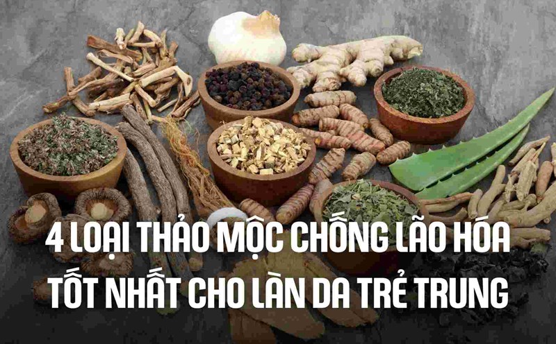 4 Best Anti-Aging Herbs for Youthful Skin. Graphics: Cao Thom