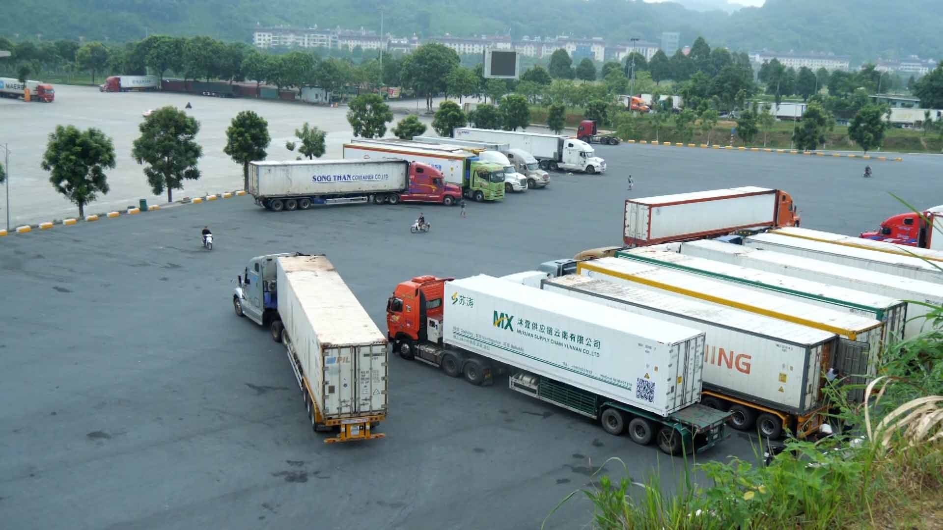 Over 3 billion USD worth of goods cleared through Lao Cai Border Gate