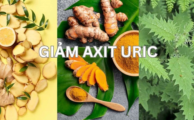 Tell you 3 types of herbs that effectively reduce uric acid.