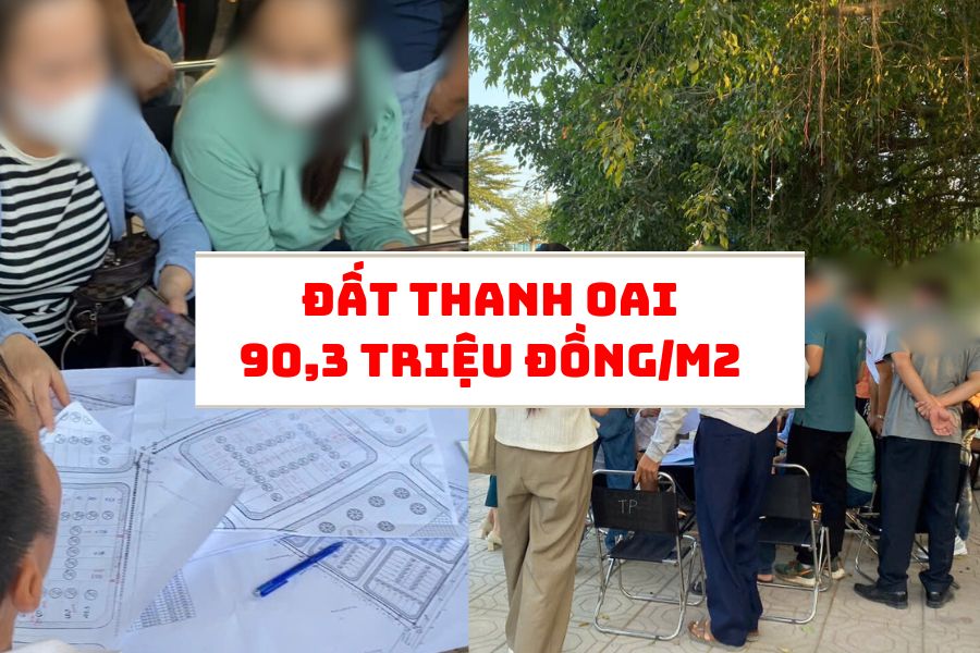 The winning price of 25 land lots in Do Dong commune, Thanh Oai district (Hanoi) was higher than the common price level. Photo: Nhu Ha