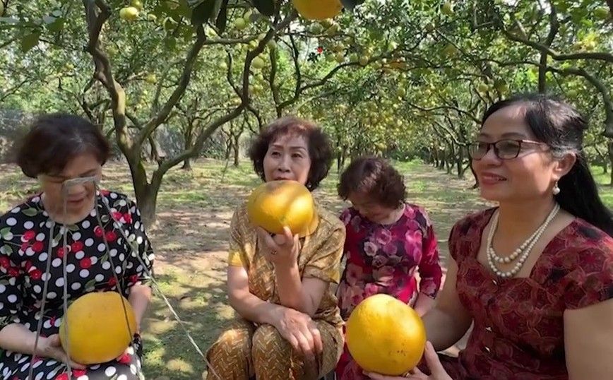 Take photos with Dien grapefruit specialty. Photo: Hoang Loc