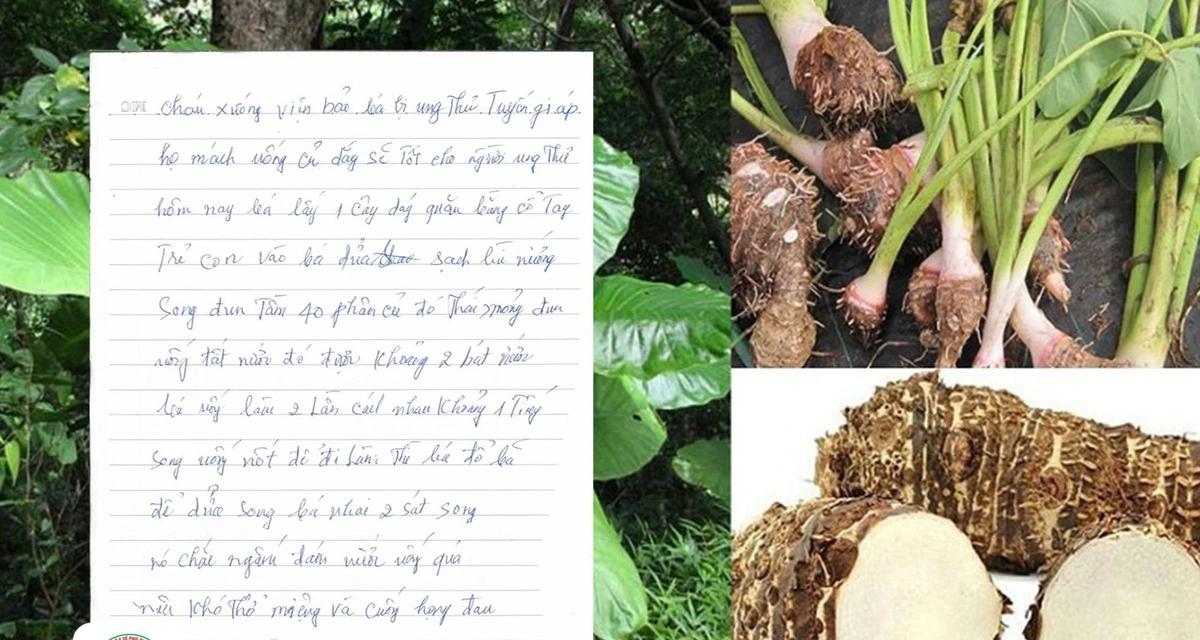The woman had to write a note asking her relatives to take her to the emergency room because she drank elephant foot yam juice to treat cancer. Photo: Provided by the hospital