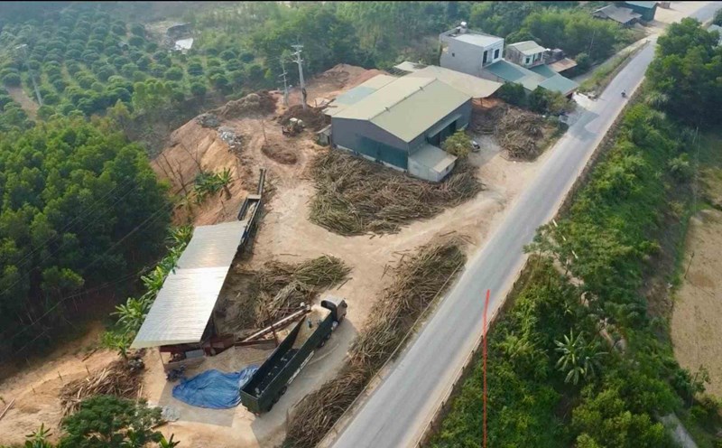 Sao Viet Company's wood storage yard is widespread, close to the roadside of National Highway 37. Photo: Van Tung
