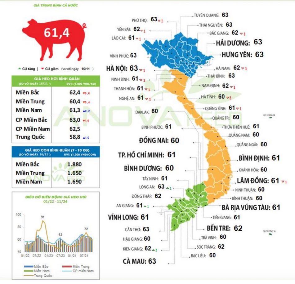 Cap nhat gia lon toan quoc ngay 18.11.2024. Nguon: Anova Feed 