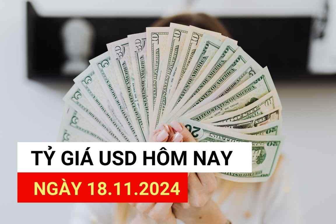 USD exchange rate today 11/18/2024.
