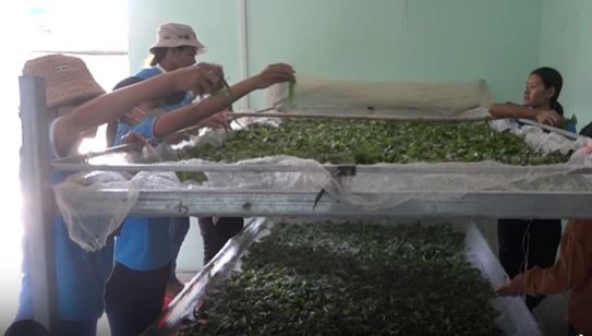 Vocational training class in Dam Rong district. Photo: Thanh Tuan