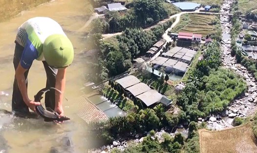 Thành lập các mô hình HTX khôi phục nuôi cá nước lạnh
