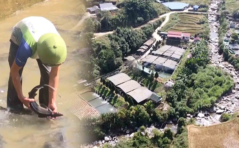 Establish cooperative models to restore cold-water fish farming