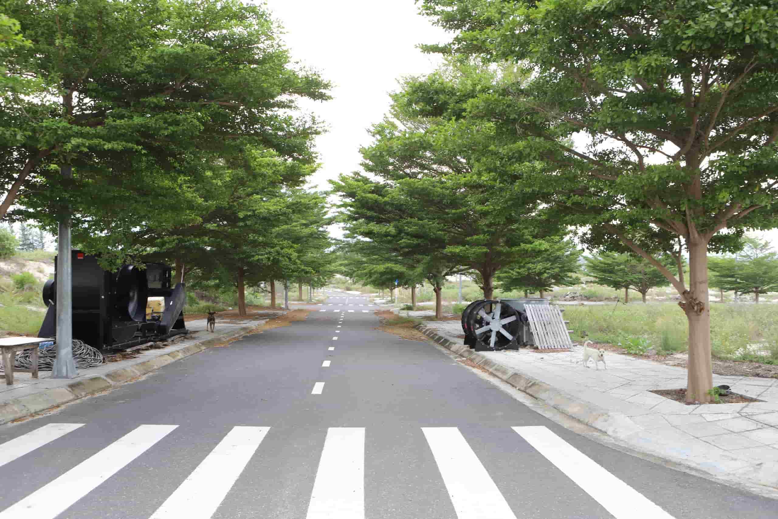 Cam Ranh City Gate project is being charged with back taxes of 216 billion VND. Photo: Huu Long