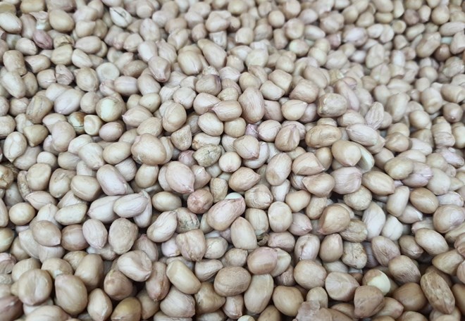 Peanuts are a nutritious food. Photo: Ha May