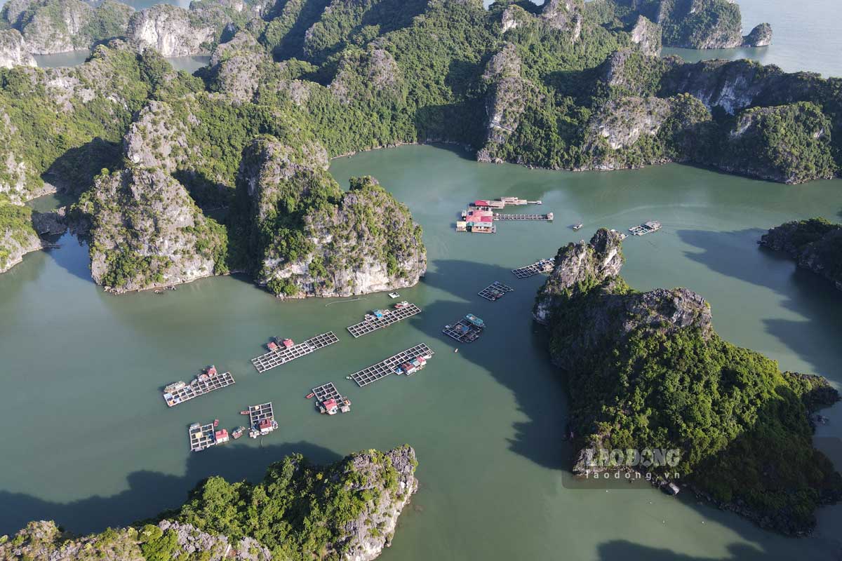 Làng chài Vung Viêng (Hạ Long, Quảng Ninh), điểm du lịch trên vịnh Hạ Long. Ảnh: Đoàn Hưng