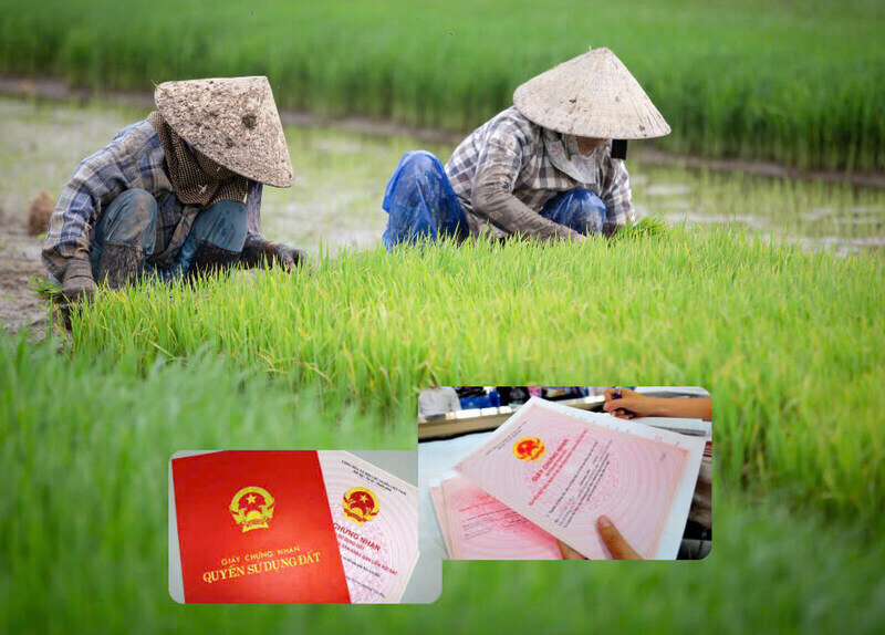 Details of fees to be paid when converting rice-growing land to non-agricultural land in Cao Bang. Graphics: To Mai