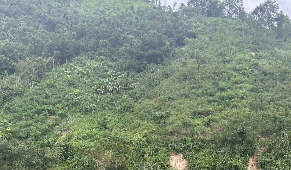 The scene where the man was beaten. Photo: CATH