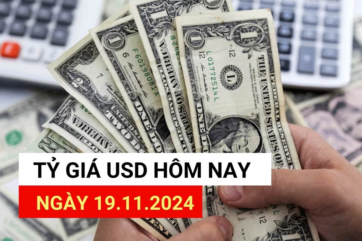 USD exchange rate today 11/19: Central exchange rate has unexpected developments