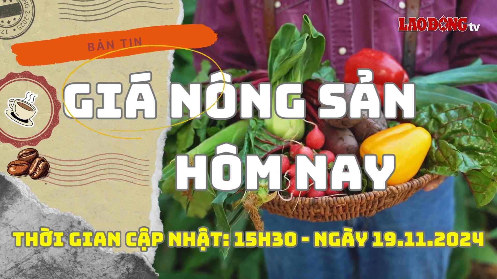 Agricultural product prices today, November 19, 2024. Photo: Bao Lam