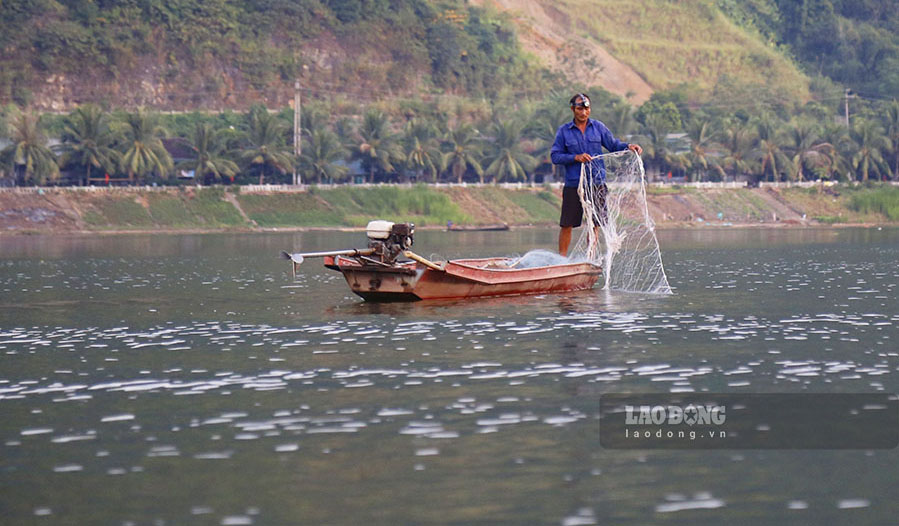 Theo ghi nhận của phóng viên Báo Lao Động, hiện nay chỉ tính dọc theo dòng Nậm Lay đã có khoảng 20 chiếc vó bè đang hoạt động. Ngoài đánh bắt cá bằng vó bè, còn rất nhiều người dân sống ven sông cũng hành nghề đánh bắt bằng chài, lưới để có thêm nguồn thu nhập cho gia đình.