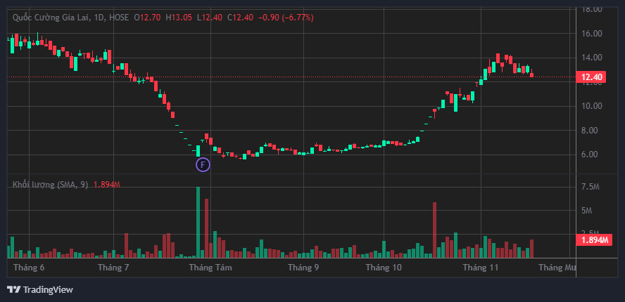 QCG shares "hit the floor" in the trading session on November 19. Photo: Luc Giang