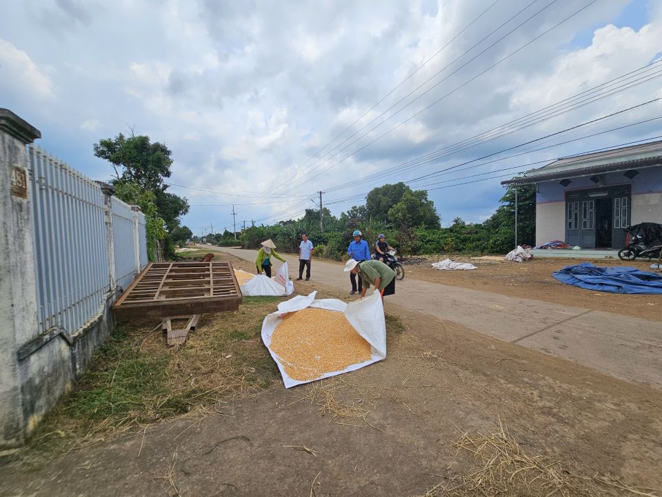 Dak Nong directs to speed up disbursement of capital for the National Target Program on Sustainable Poverty Reduction. Photo: Thanh Quynh