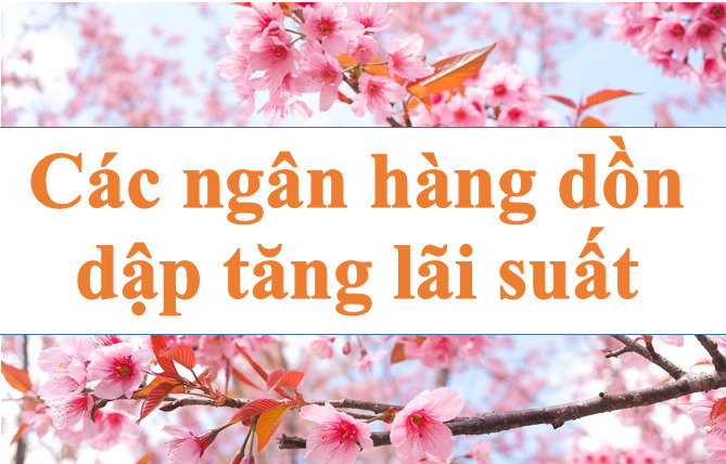 Banks rush to increase interest rates. Illustration photo: Ha Vy