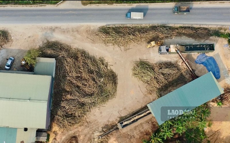 Illegal wood workshop area operating without legal documents in Tuyen Quang. Photo: Viet Bac