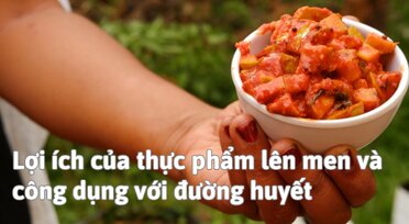 Fermented foods have many health benefits and positive effects on blood sugar.