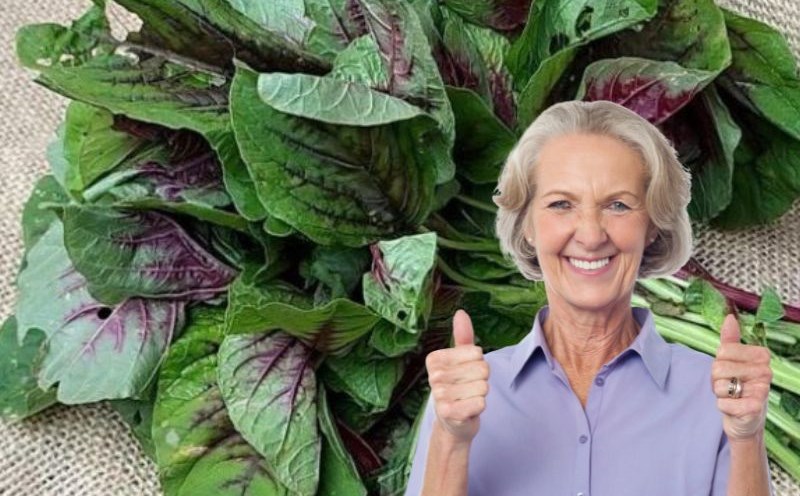 Elderly people can eat amaranth to supplement calcium for bones. Graphics: Ha May