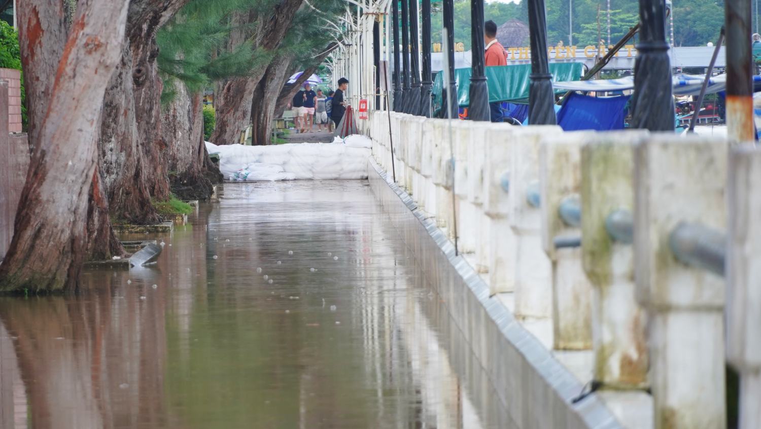 Ghi nhan cua phong vien Bao Lao Dong tai khu vuc Ben Ninh Kieu, quan Ninh Kieu, TP Can Tho, hien don vi thi cong da hoan thanh cong trinh chan nuoc trieu cuong.