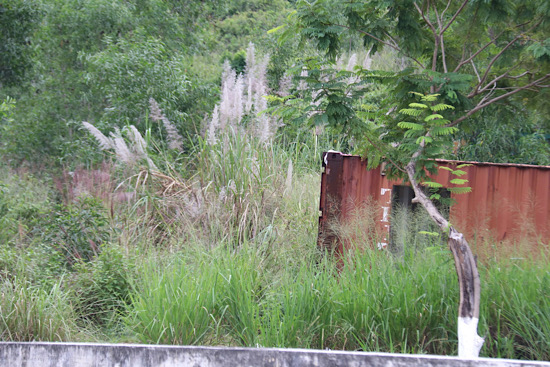 The body of a man was found in a container lying on a boulevard in Khanh Hoa. Photo: Phuong Linh