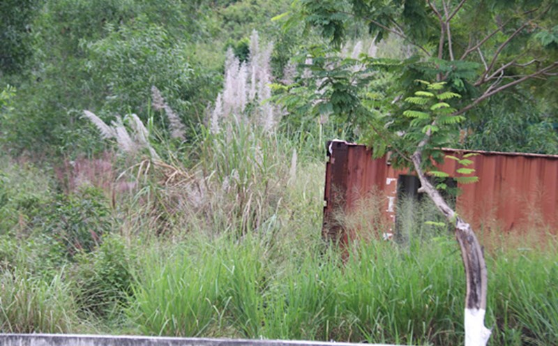 The body of a man was found in a container lying on a boulevard in Khanh Hoa. Photo: Phuong Linh