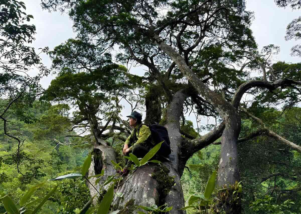 Phong Nha - Ke Bang National Park is always strictly protected. Photo: P. Hoang