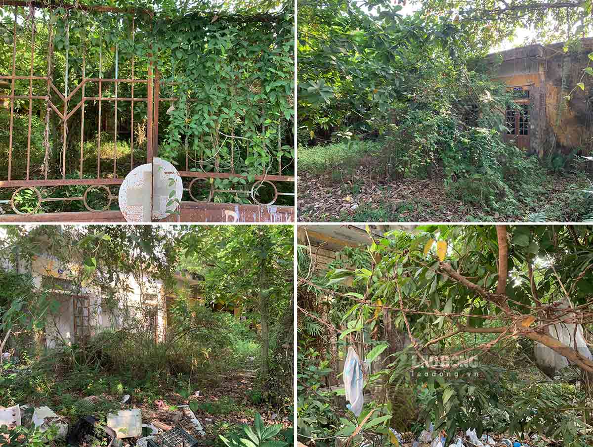 Phía bên trong nhếch nhác, chứa rác thải. Ảnh: Lao Động