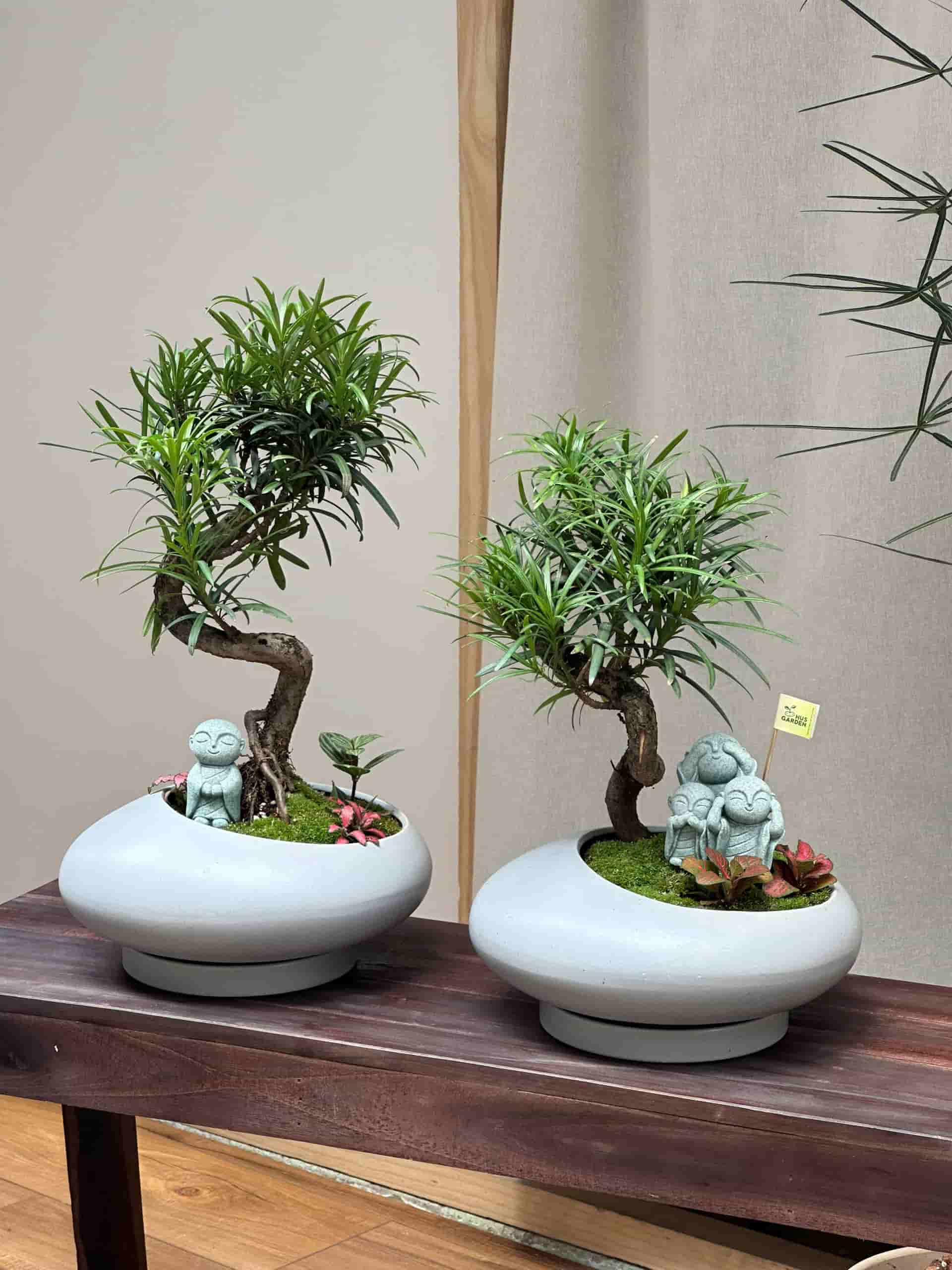 Theo anh Nam, cay bonsai duoc coi la mot mon qua y nghia va doc dao. Voi tuong trung ve su kien nhan va can doi, cay bonsai tro thanh mot mon qua thu vi cho phu huynh va hoc sinh dip tri an cac thay co giao. Anh: Hoang Loc