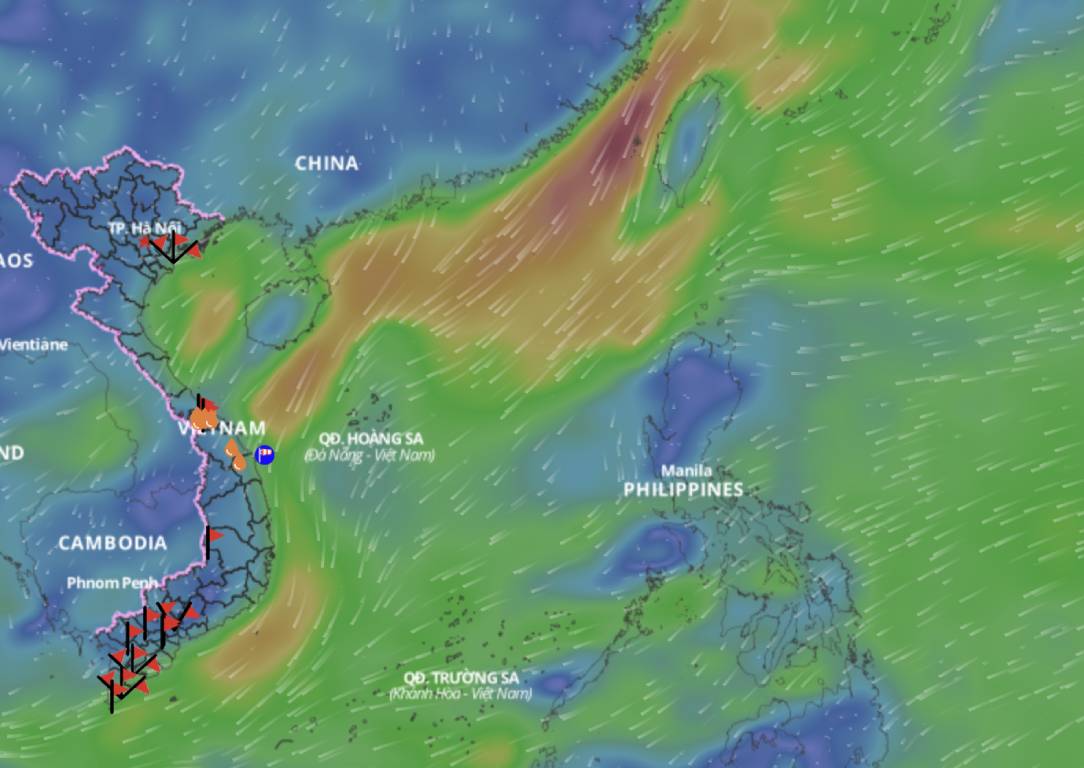 The cold air shift from the east causes weather in the North East Sea. Above is the image of the wind direction layer over the sea updated at 4:00 p.m. on November 20. Photo: Vietnam Natural Disaster Monitoring System