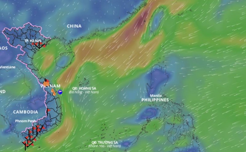 The cold air shift from the east causes weather in the North East Sea. Above is the image of the wind direction layer over the sea updated at 4:00 p.m. on November 20. Photo: Vietnam Natural Disaster Monitoring System