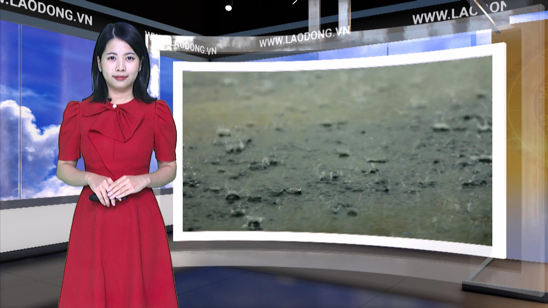 Weather forecast tonight and tomorrow 11/21