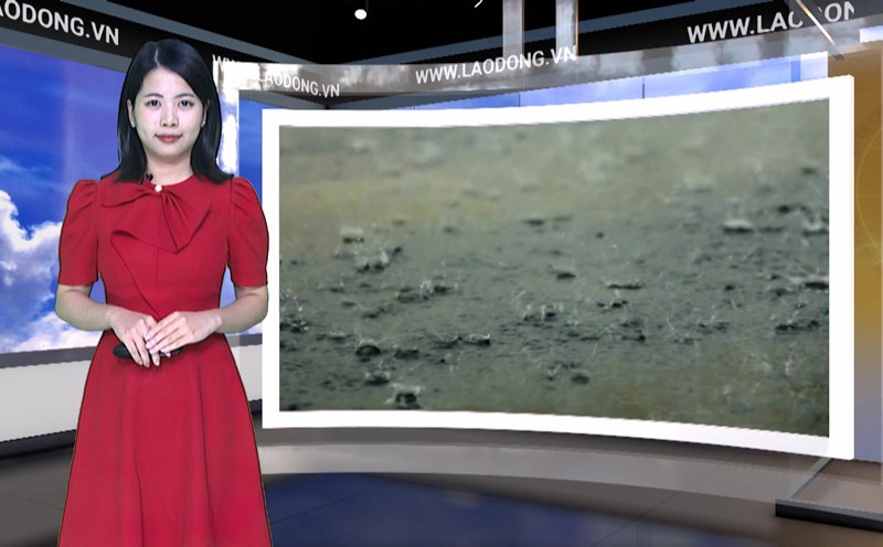 Weather forecast tonight and tomorrow 11/21