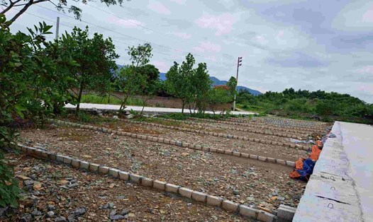 Sự tăng nhiệt của phân khúc đất nền là tín hiệu tích cực cho sự phục hồi chung của thị trường bất động sản (ảnh minh họa). Ảnh: Lục Giang