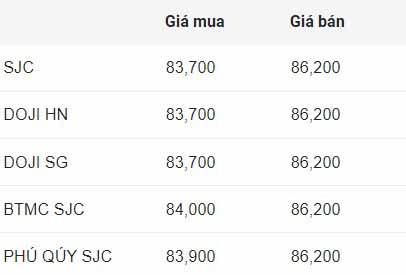 Cập nhật giá vàng SJC đầu phiên hôm nay. 