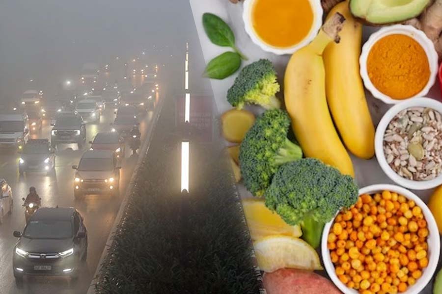 The impact of air pollution on immunity. Graphics: Thien Nhan