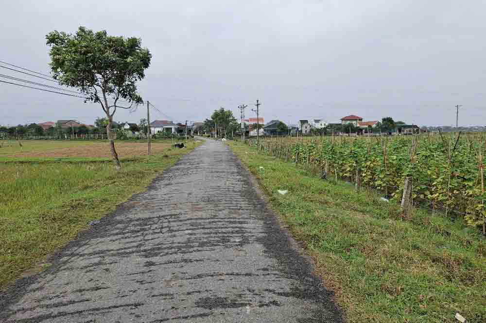 The Ha Tinh Provincial Party Committee's Inspection Commission has just proposed disciplining many officials, including some who violated regulations related to land allocation. Photo: Tran Tuan.