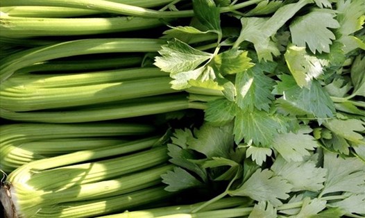 Giảm axit uric không chỉ phụ thuộc vào việc tránh các thực phẩm giàu purine mà còn cần tận dụng những thực phẩm có tác dụng hỗ trợ giảm nồng độ axit uric. Ảnh: Lâm Anh.