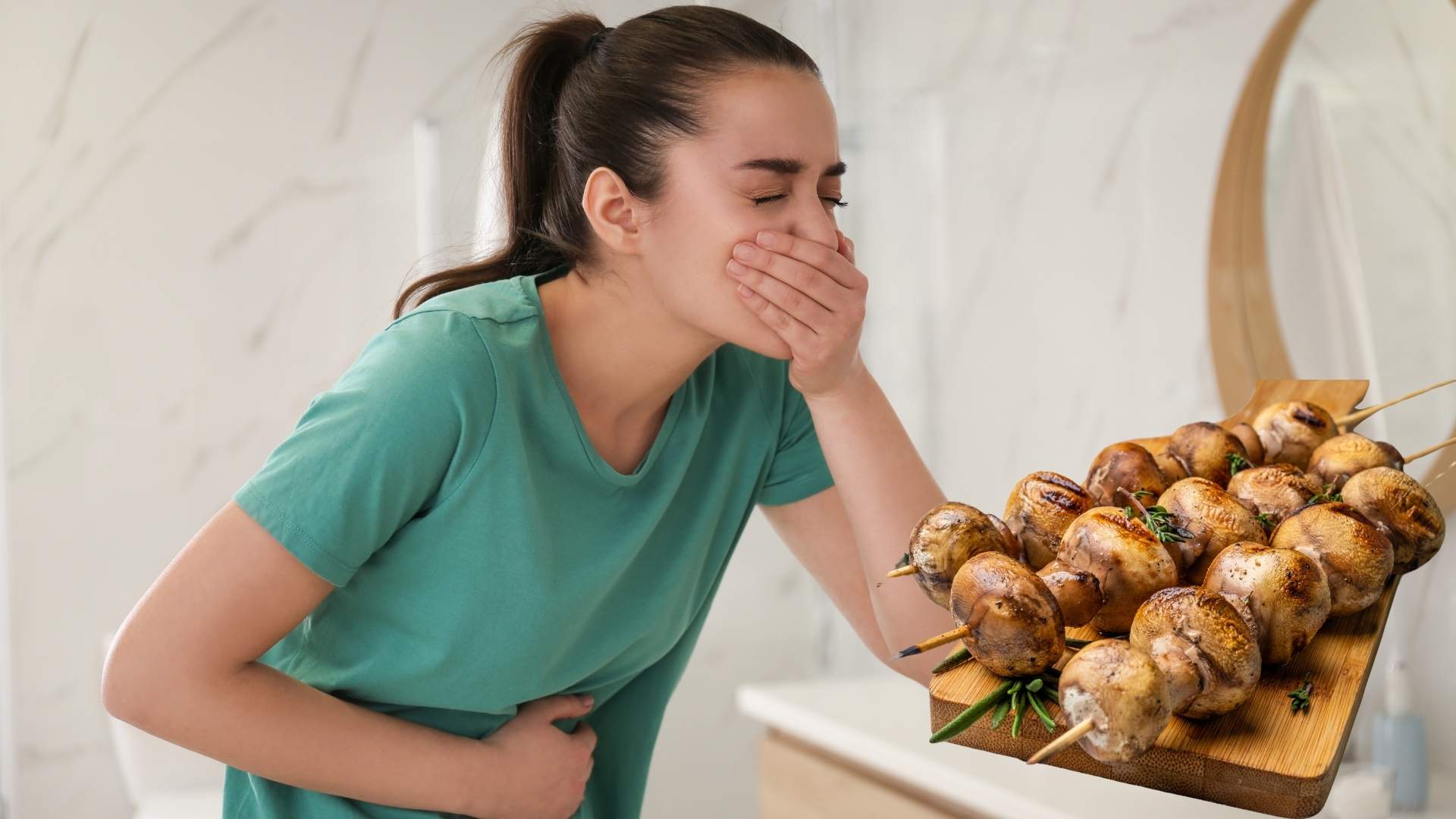 Mistakes when using mushrooms can cause poisoning and loss of nutrition